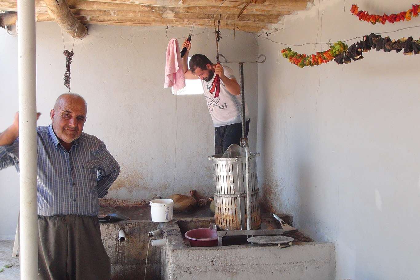 Üzümün pekmez ve pestil olma yolculuğu başladı
